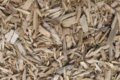 biomass boilers Dunadry